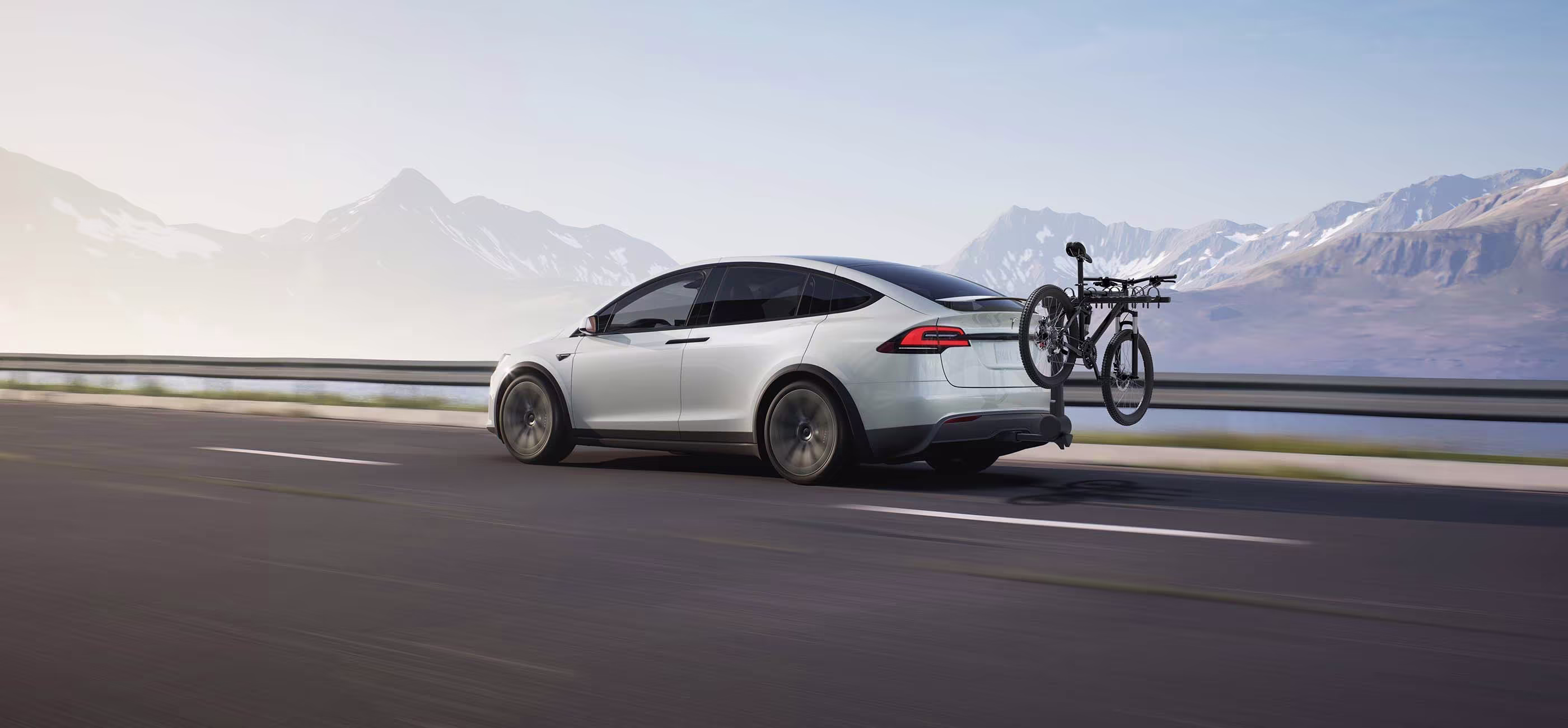 Model X